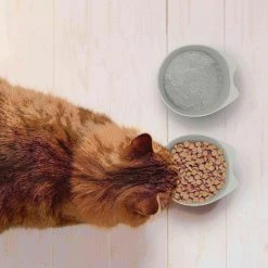 Pet Adobe Set of 2 Cat Dishes Shallow Melamine Resin Saucers for Food and Water with Nonslip Bottoms 8 Fl. Oz. -Animal&Pet Supplies store TG20Midco20LLC20dba20Trademark20Global20LLC 884631mfpxx3xx5c1f2e