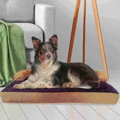 Pet Adobe Orthopedic Memory Foam Pet Bed - XL -Animal&Pet Supplies store TG20Midco20LLC20dba20Trademark20Global20LLC 890293vxmxx3xxa44ab3