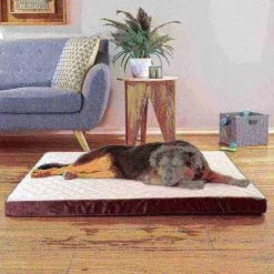 Pet Adobe Pet Bed Bamboo Charcoal Infused Odor Resistant Egg Crate Foam Orthopedic Cushion 44 x 35 x 2.75 -Animal&Pet Supplies store TG20Midco20LLC20dba20Trademark20Global20LLC 932890inmxx5xxfaff49