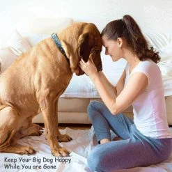 Pet Adobe Set of 2 Stainless Steel Hanging Pet Bowls for Food and Water | Dogs / Cats 48-Fl Oz -Animal&Pet Supplies store TG20Midco20LLC20dba20Trademark20Global20LLC 975685jcyxx3xx163c64