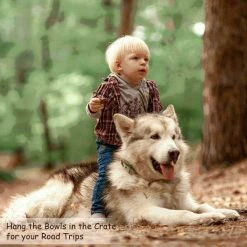 Pet Adobe Set of 2 Stainless Steel Hanging Pet Bowls for Food and Water | Dogs / Cats 48-Fl Oz -Animal&Pet Supplies store TG20Midco20LLC20dba20Trademark20Global20LLC 975685jcyxx6xx3b6254