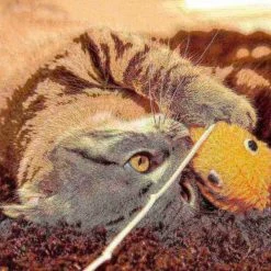 Pet Adobe Activity Center Interactive Play Area Station for Cats/Kittens with Mat, Toys and Napping | Foldable -Animal&Pet Supplies store TG20Midco20LLC20dba20Trademark20Global20LLC 990793vpgxx4xx4594e5