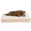 Pet Adobe Memory Foam Orthopedic Pet Bed – Tan