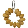 A&E Cage HB893 Almond Nut Ring Jr. Bird Toy