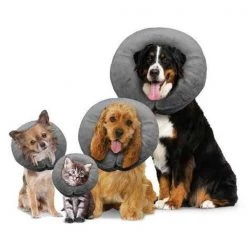 Arlee Home Fashions AR12029 14-18 in. Comfurt Collar Ecollar - Large