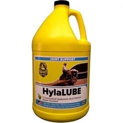 Richdel 974814 32 oz Hylalube Concentrate - Apple