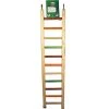 A&E Cage 001452 25 in. Happy Beaks Wooden Hanging Ladder; Multicolor