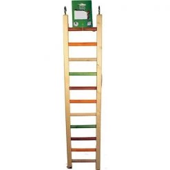 A&E Cage 001452 25 in. Happy Beaks Wooden Hanging Ladder; Multicolor