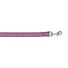 Bark Appeal RASNPL-5-8 Reflective Leash; Raspberry - 0.65 in.