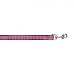 Bark Appeal RASNPL-5-8 Reflective Leash; Raspberry - 0.65 in.