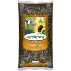 Morning Song 11997 5 lbs Black Oil Sunflower Wild Bird Seed Foods - Pack of 6