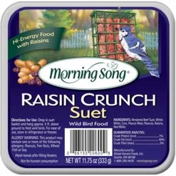 Morning Song 11436 11.75 oz Raisin Crunch Suet Wild Bird Food