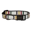 Carolina Pet Company Carolina Pet 0PP1005-GLA 1 in. x 6 ft. Pendleton Pet National Park Hiker Leash - Glacier