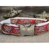 Diva Dogs Wild One Pink Dog Collar M/L