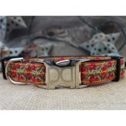 Diva Dogs Bombay Dog Collar XL