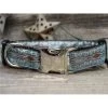 Diva Dogs Calligraphy Blue Dog Collar XL