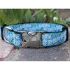 Diva Dogs Daisy Dog Collar M/L