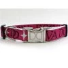 Diva Dogs Monogram Dog Collar M/L