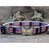 Diva Dogs Stars N Stripes Dog Collar XL