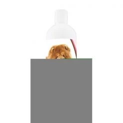 Healthy Breeds 840235104827 16 oz Chow Chow Deodorizing Shampoo
