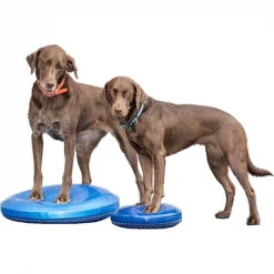 FitPAWS PFPKBDBL14 14 in. 6P Free Balance Disc; Blue