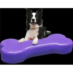 FitPAWS PFPEBOTRXL K9FIT Bone Giant Agility Training; Turquoise