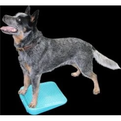 FitPAWS PFPERPAQ00 Dog Training Ramp; Aqua