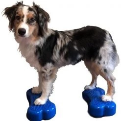 FitPaws PFPEBOMNBL Mini K9 Fit Bone; Blue; 11 x 7.5 x 2.5 in. - Set of 2