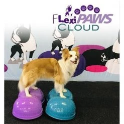 Flexipaws FFECLDTL Flexiness Cloud; Teal Blue