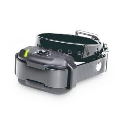 Dogtra E-Fence 3500 Rx In-Ground Dog Fence Collar