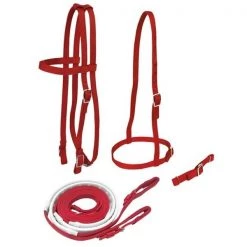 Jacks 4346-RY Race Bridle Set with Buckle Reins; Royal