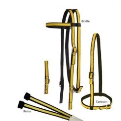 Jacks 453-BK-RY Two Tone Race Bridle Set; Black & Royal