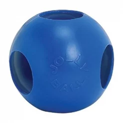 Jolly Pets 2218-BL-6 Fun Ball; Blue - 6 in. Hamster