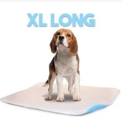 Lennypads 2436LP 24 x 36 in. Extra Large Washable Pet Pad - White