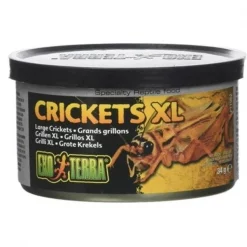 Exo-Terra XPT1962 1.2 oz Canned Crickets XL Specialty Reptile Food