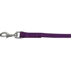 Petpal Plain Nylon Pet Leash; Purple - 1 in. by 6 ft.