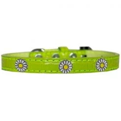 Mirage Pet 720-24 LGC14 White Daisy Widget Croc Dog Collar - Lime Green; Size 14