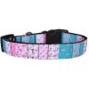 Mirage Pet 125-271 MDN Flamingo Fun Nylon Dog Collar; Narrow - Medium