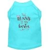 Mirage Pet 51-203 AQMD Bunny is My Bestie Screen Print Dog Shirt; Aqua - Med 12