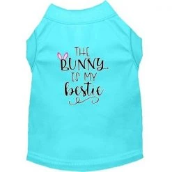 Mirage Pet 51-203 AQMD Bunny is My Bestie Screen Print Dog Shirt; Aqua - Med 12