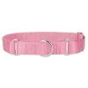Mirage Pet 124-1M PKSM Plain Nylon Martingale Dog Collar; Small - Pink