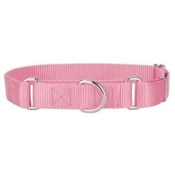 Mirage Pet 124-1M PKSM Plain Nylon Martingale Dog Collar; Small - Pink