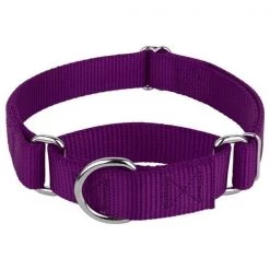 Mirage Pet 124-1M PRXL Plain Nylon Martingale Dog Collar; Extra Large - Purple