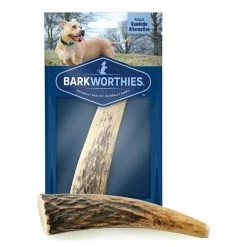 Barkworthies 840139120169 Elk Antler Pet Bone with Mini Case - Small Whole