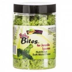 Nature Zone 783178546364 Baby Bites Juvenile Iguanas; 6 oz
