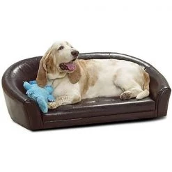 ORE International HB4290 16 in. Enchanted Pet Dog Sofa Bed
