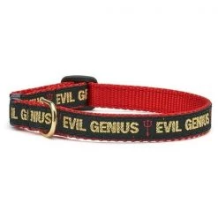 Up Country Organics Up Country EVICC10 Evil Genius Cat Collar - Size 10