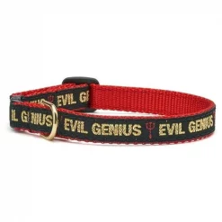 Up Country Organics Up Country EVICC12 Evil Genius Cat Collar - Size 12