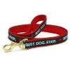 Up Country Organics Up Country BDELFLW 6 ft. Wide Best Dog Ever Lead for Pet