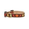 Up Country Organics Up Country HARCQ2N Harvest Time Pet Collar - Small Narrow